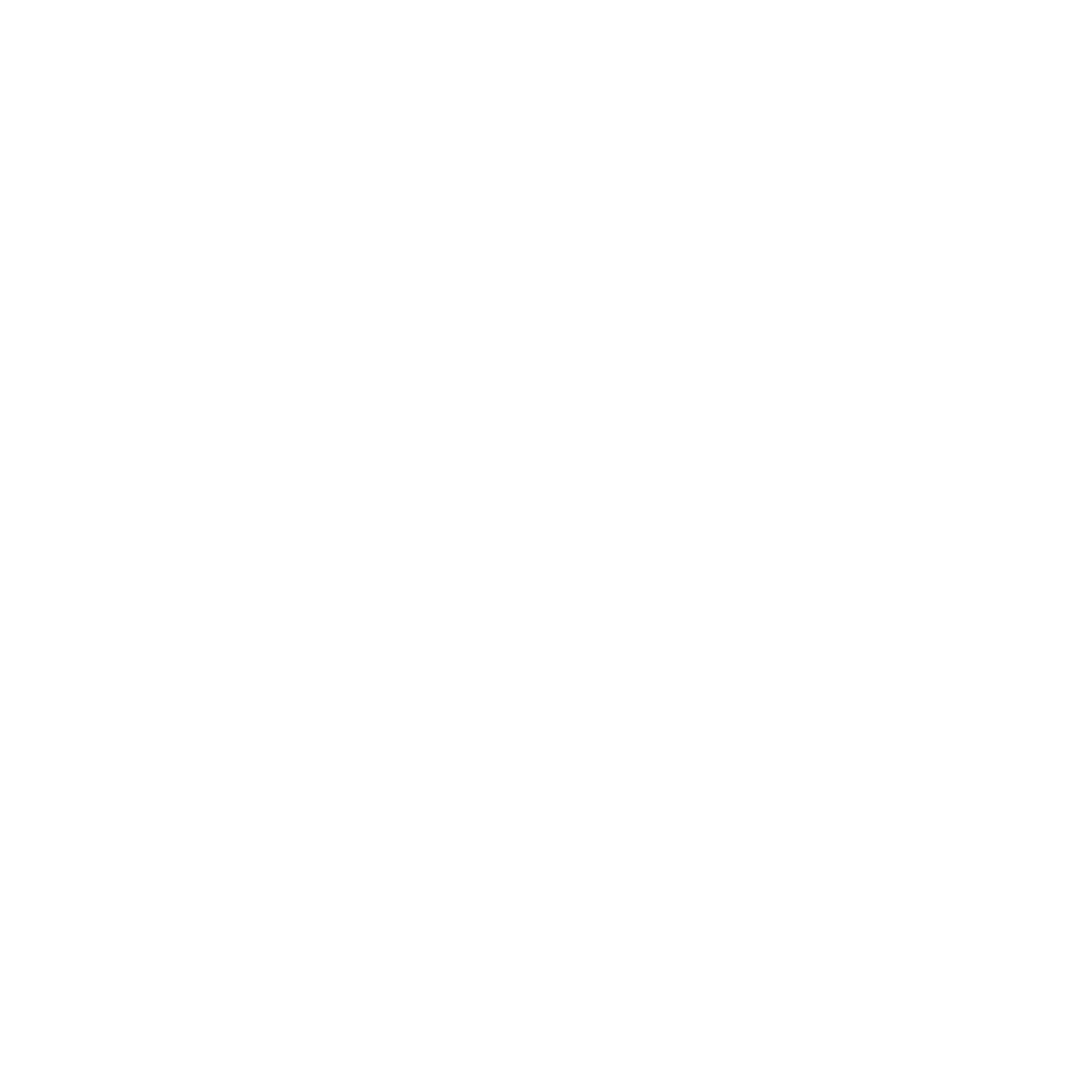 Race Cars
